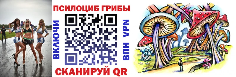 Галлюциногенные грибы мицелий Тара