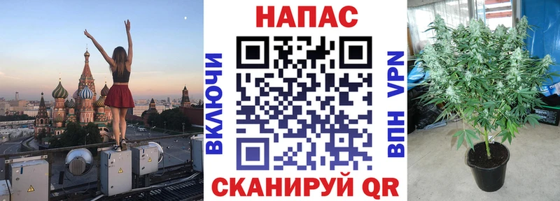 Бошки Шишки SATIVA & INDICA  MEGA зеркало  Тара 